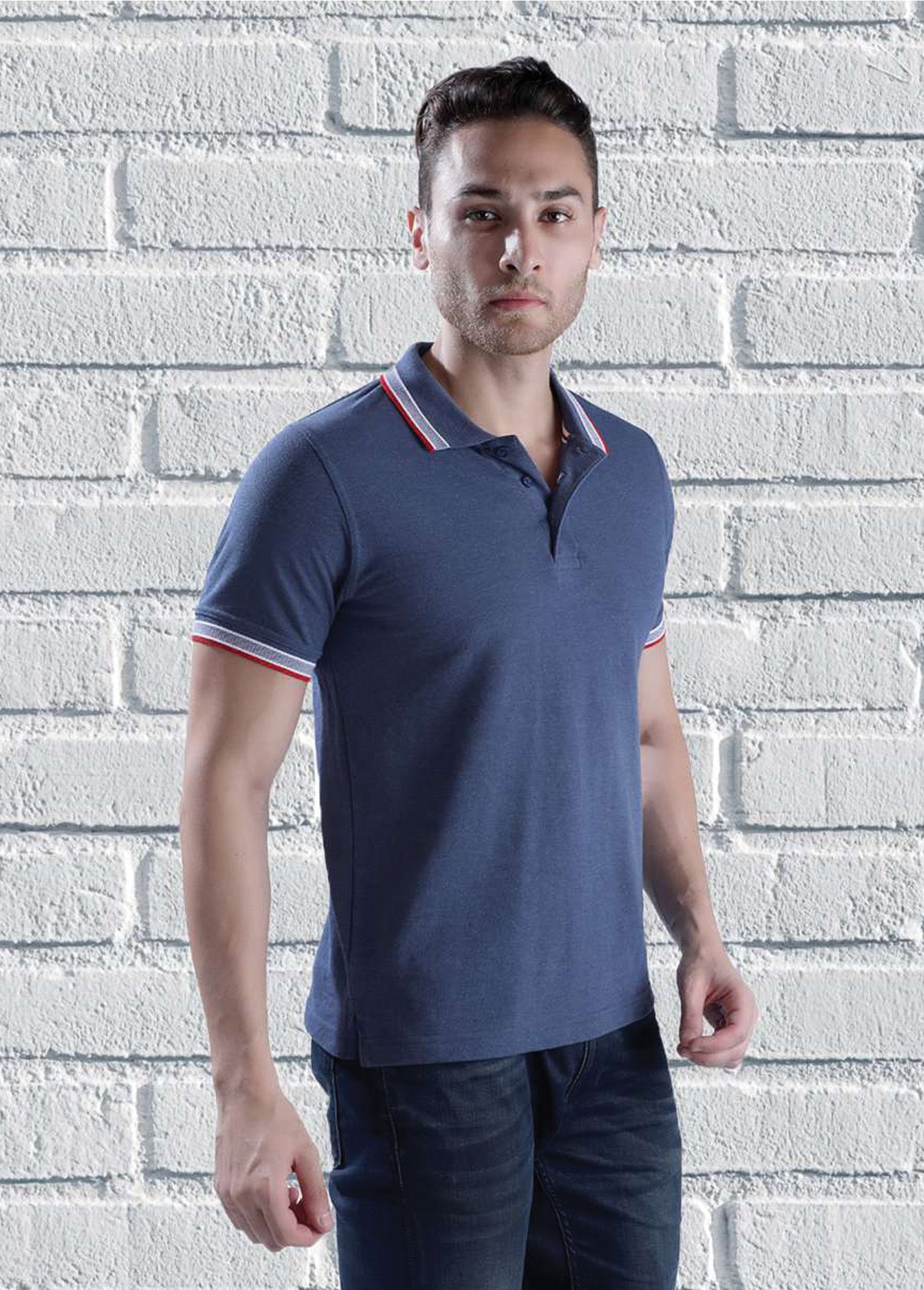 Wild Horn Denim Collar T-shirt